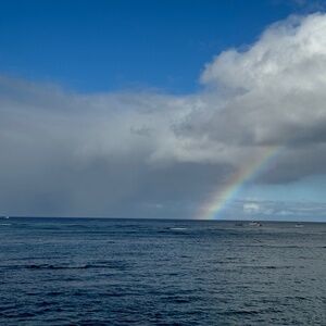 Meet your Posher, Lily